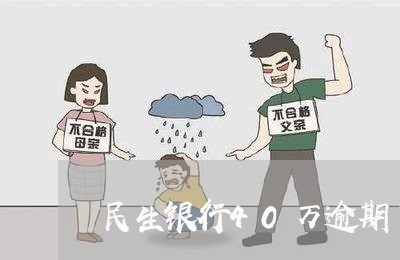 民生银行40万逾期了/2023032035937