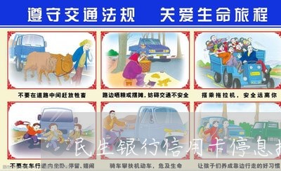 民生银行信用卡停息挂账/2023021163817