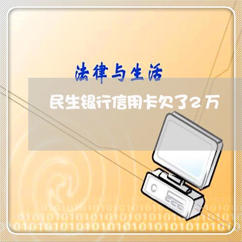 民生银行信用卡欠了2万