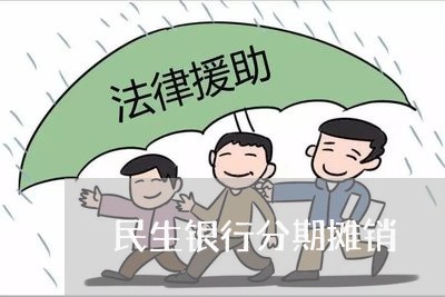 民生银行分期摊销/2023012971626