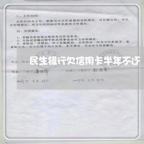 民生银行欠信用卡半年不还 民生银行欠信用卡半年不还