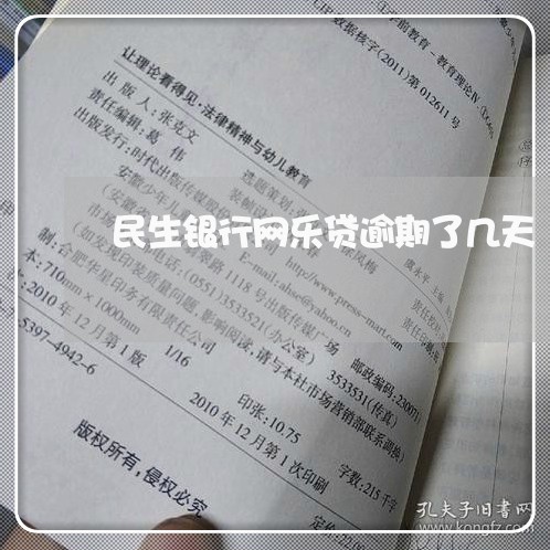 民生银行网乐贷逾期了几天/2023042252056