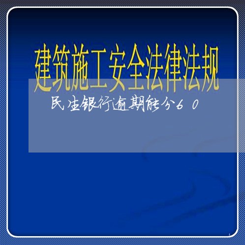 民生银行逾期能分60/2023102679593