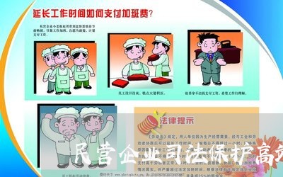 民营企业司法保护高端 民营企业司法保护高端