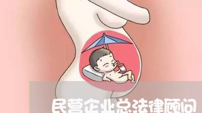 民营企业总法律顾问/2023061754937 民营企业总法律顾问/2023061754937
