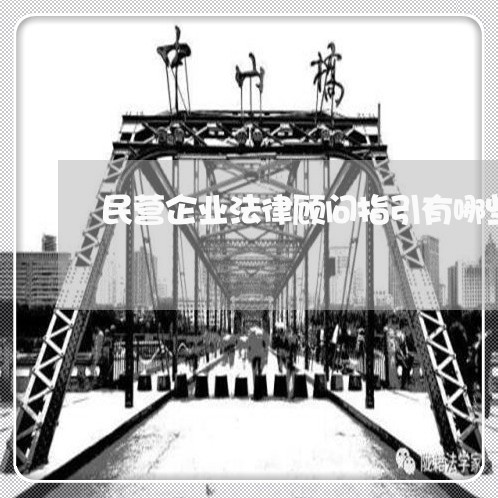 民营企业法律顾问指引有哪些 民营企业法律顾问指引有哪些