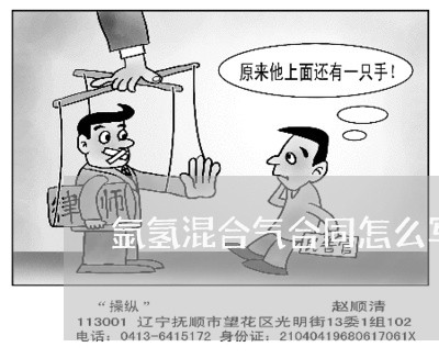氩氢混合气合同怎么写/2023041495037 氩氢混合气合同怎么写/2023041495037