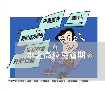 水之微粒贷逾期