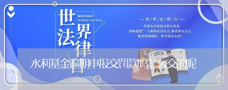 水利基金逾期申报交罚款吗怎么交的呢/2023121506956