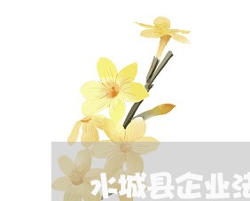 水城县企业法律