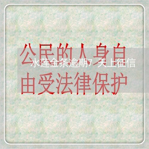 水莲金条逾期7天上征信