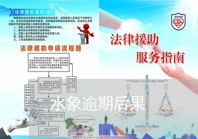 水象逾期后果
