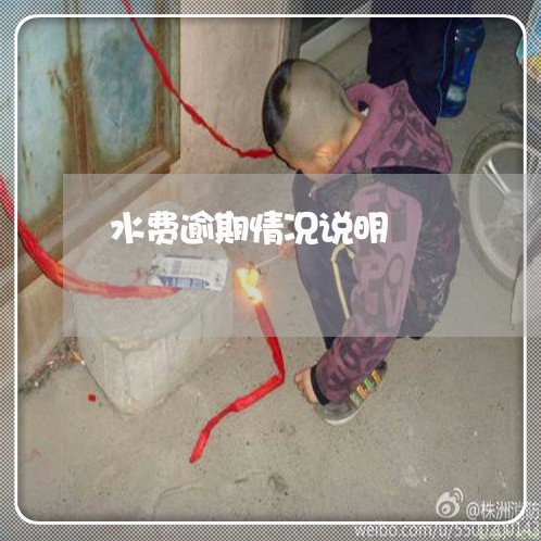 水费逾期情况说明