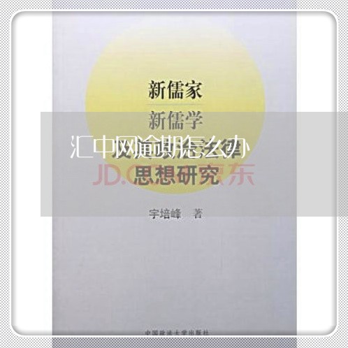 汇中网逾期怎么办