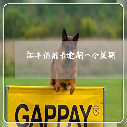 汇丰信用卡逾期一个星期 汇丰信用卡逾期一个星期