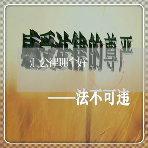 汇公律哪个好