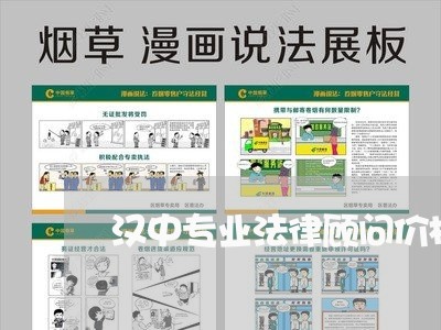 汉中专业法律顾问价格/2023061861493