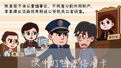 汉中打击还信用卡/2023071627303