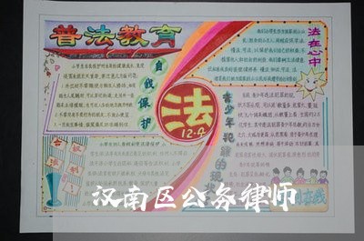 汉南区公务律师