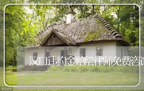 汉口违约金赔偿律师免费咨询 汉口违约金赔偿律师免费咨询