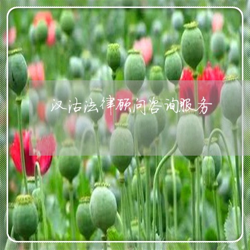 汉沽法律顾问咨询服务/2023061864904 汉沽法律顾问咨询服务/2023061864904