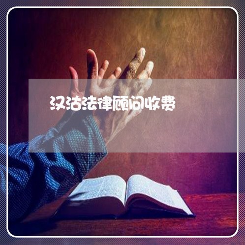 汉沽法律顾问收费/2023061717248