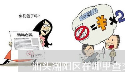 汕头潮阳区在哪里查交通违法