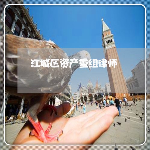 江城区资产重组律师 江城区资产重组律师