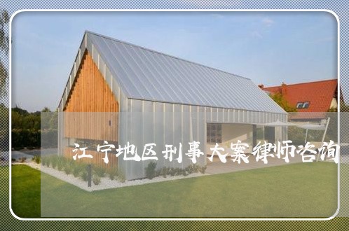 江宁地区刑事大案律师咨询