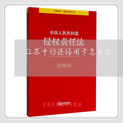 江苏中行还信用卡怎么还/2023080238258