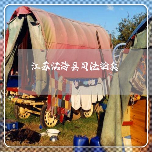 江苏滨海县司法拍卖