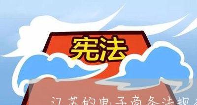 江苏的电子商务法规条例