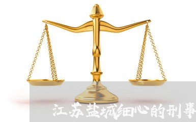 江苏盐城细心的刑事专业律师