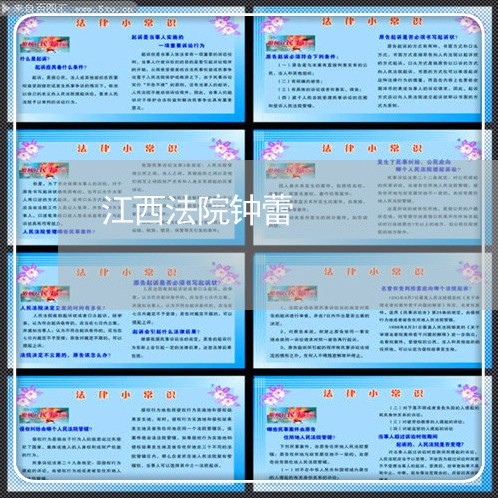 江西法院钟蕾 江西法院钟蕾