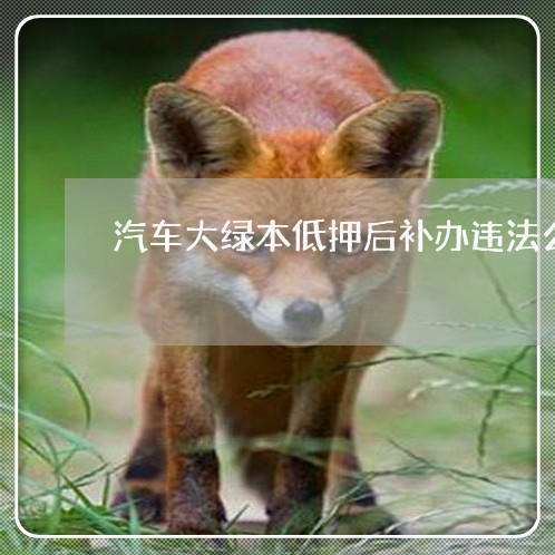 汽车大绿本低押后补办违法么