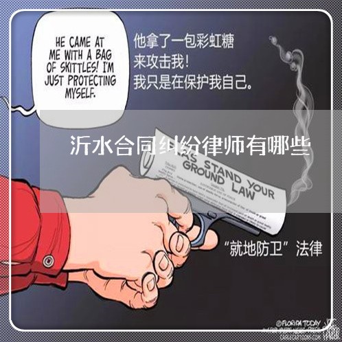 沂水合同纠纷律师有哪些