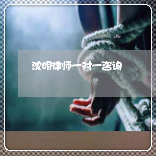 沈明律师一对一咨询 沈明律师一对一咨询