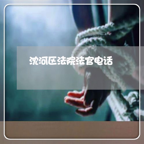 沈河区法院法官电话 沈河区法院法官电话