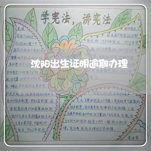 沈阳出生证明逾期办理