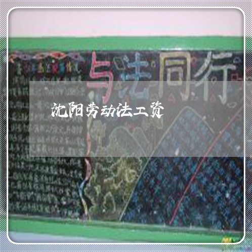 沈阳劳动法工资 沈阳劳动法工资