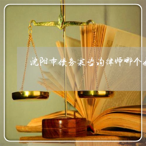 沈阳市债务案咨询律师哪个好 沈阳市债务案咨询律师哪个好