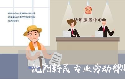 沈阳新民专业劳动律师网站