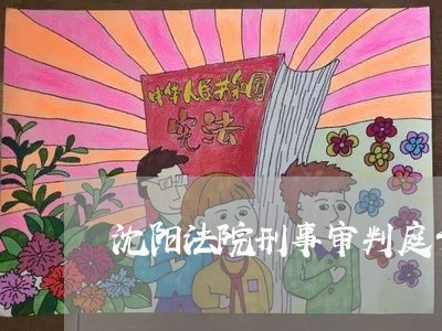 沈阳法院刑事审判庭于小威 沈阳法院刑事审判庭于小威