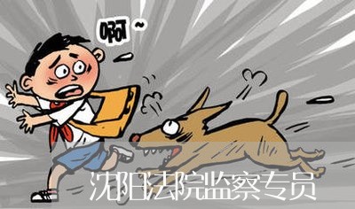 沈阳法院监察专员 沈阳法院监察专员