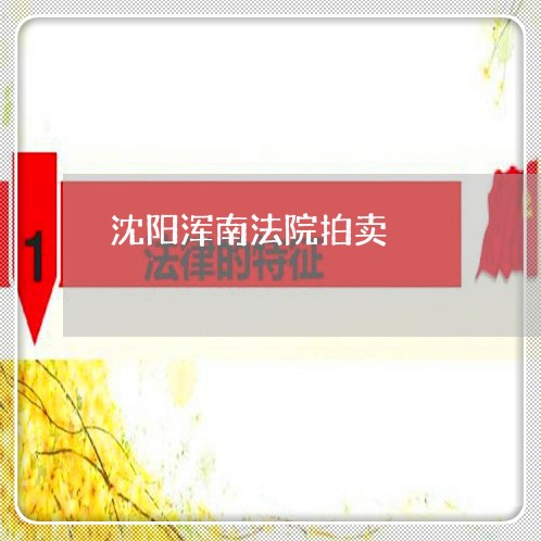 沈阳浑南法院拍卖 沈阳浑南法院拍卖