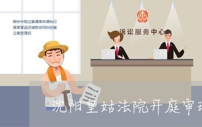 沈阳皇姑法院开庭审理