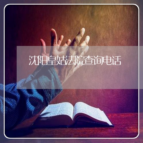 沈阳皇姑法院查询电话 沈阳皇姑法院查询电话