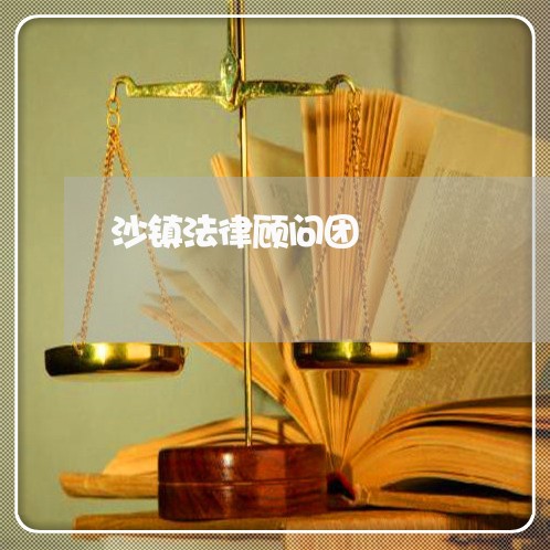 沙镇法律顾问团/2023061870524