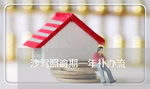 沙驾照逾期一年补办流
