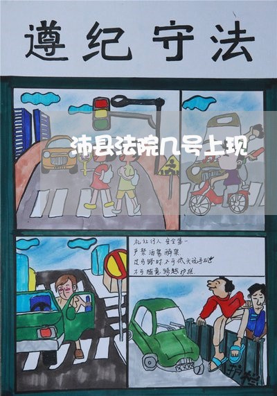 沛县法院几号上现